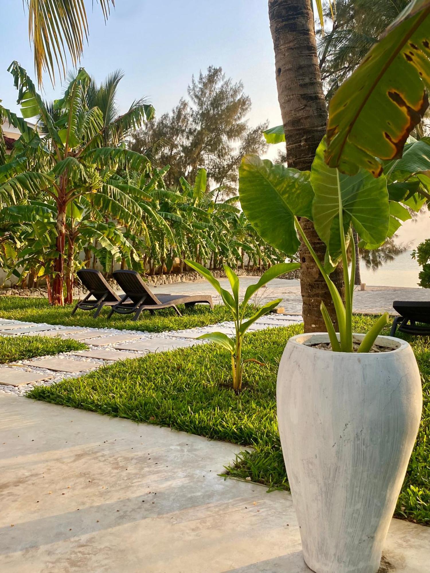 Luxury Lions Zanzibar - With Private Cook&infinity Pools Villa Kiwengwa (Zanzibar)