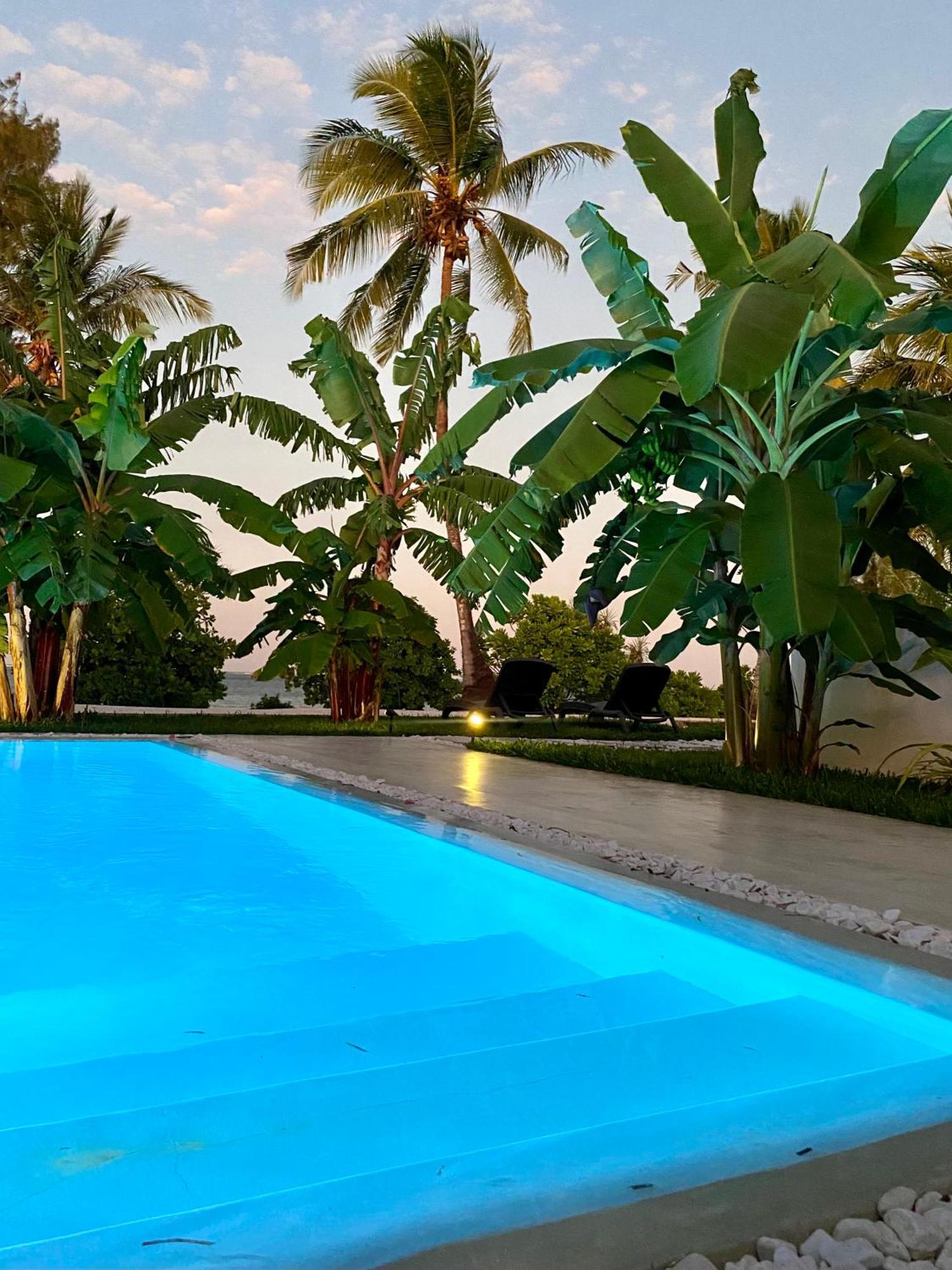 Luxury Lions Zanzibar - With Private Cook&infinity Pools *